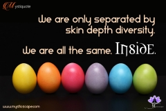 unity-in-diversity